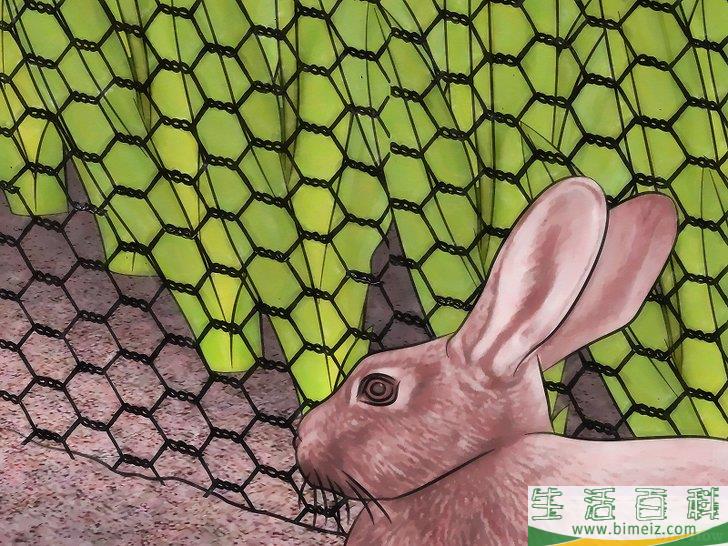怎么建一个花园