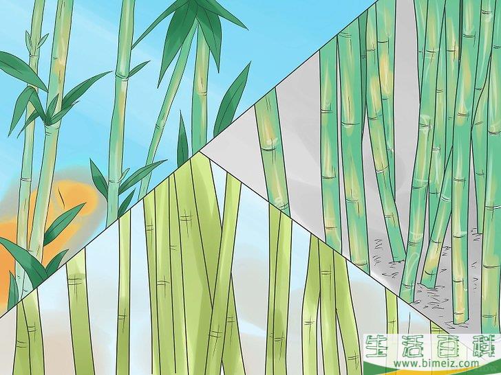 怎么种竹子