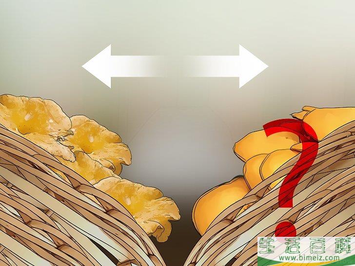 怎么辨认有毒野生菌