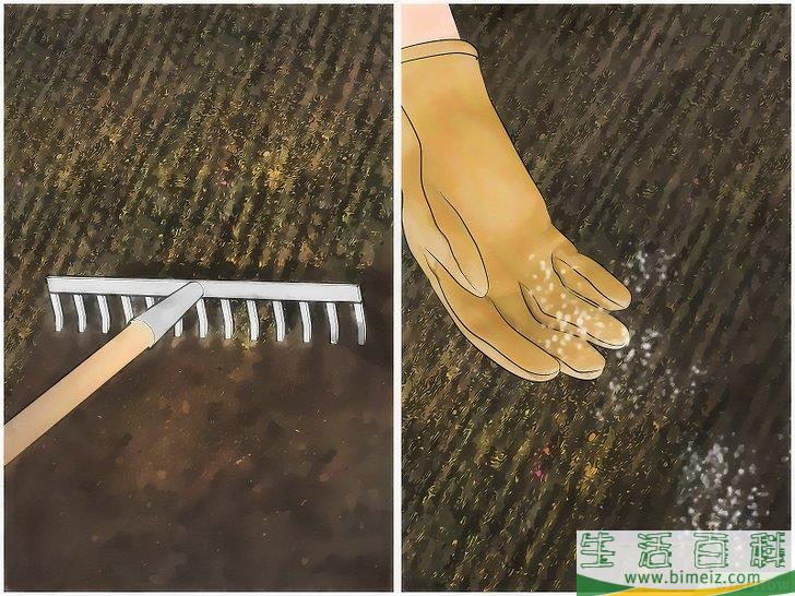 怎么建一个花园