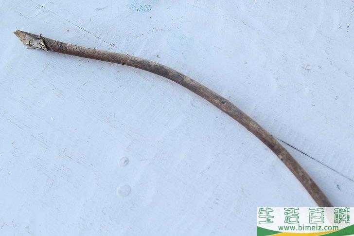 怎么在没有火柴或打火机的情况下生火