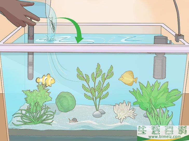 怎么使园林免受蜗牛侵害