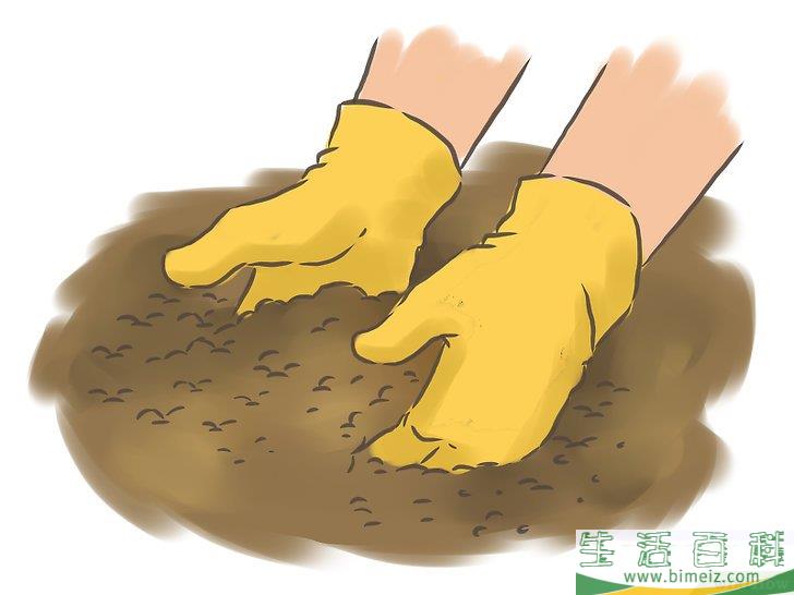 怎么种百香果