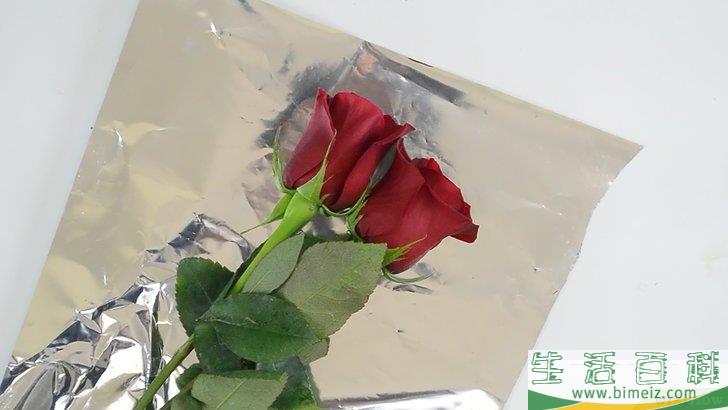 怎么保鲜玫瑰花