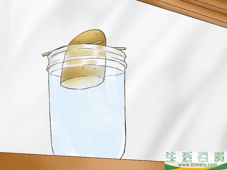 怎么种植红薯