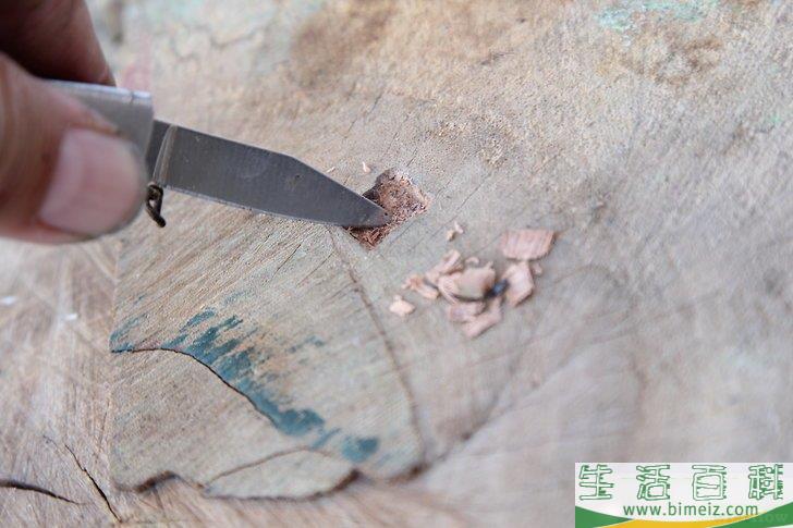 怎么在没有火柴或打火机的情况下生火