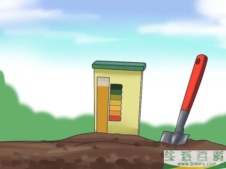 怎么种植向日葵