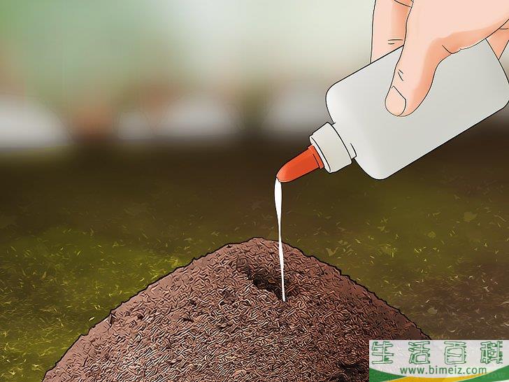 怎么消灭院子里的蚂蚁