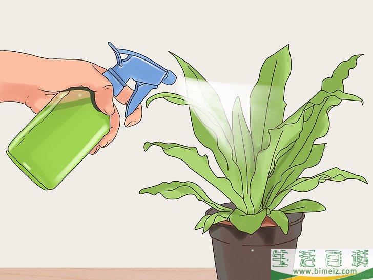 怎么制作生物农药