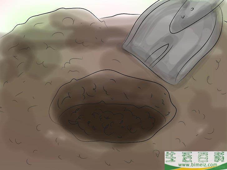 怎么种植落新妇