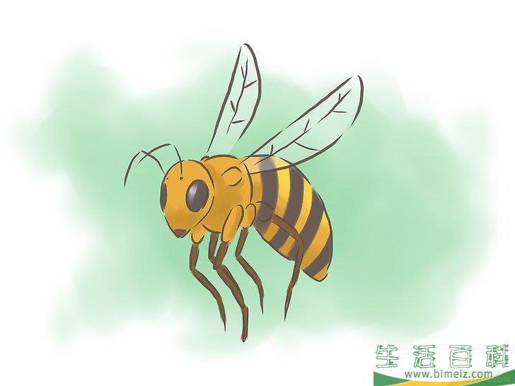 怎么种百香果
