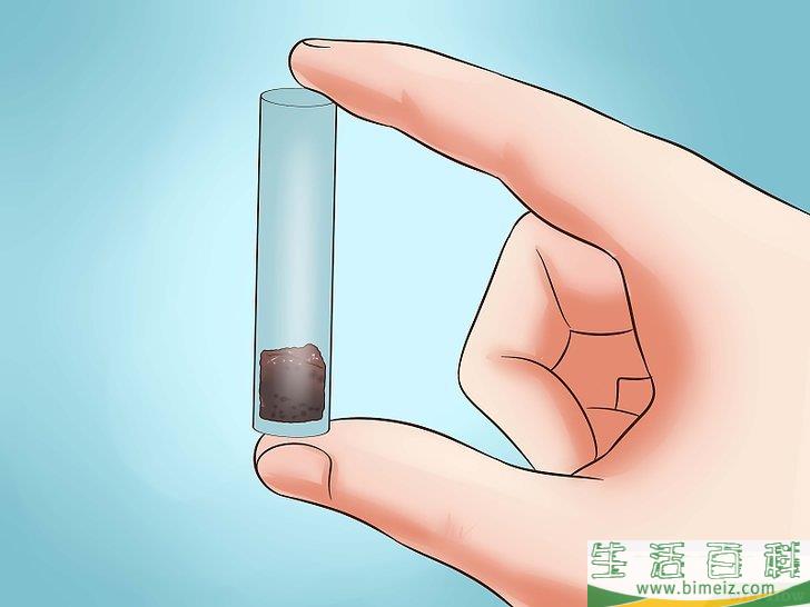 怎么种植秋葵