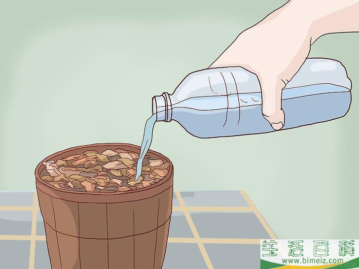 怎么换盆移栽兰花