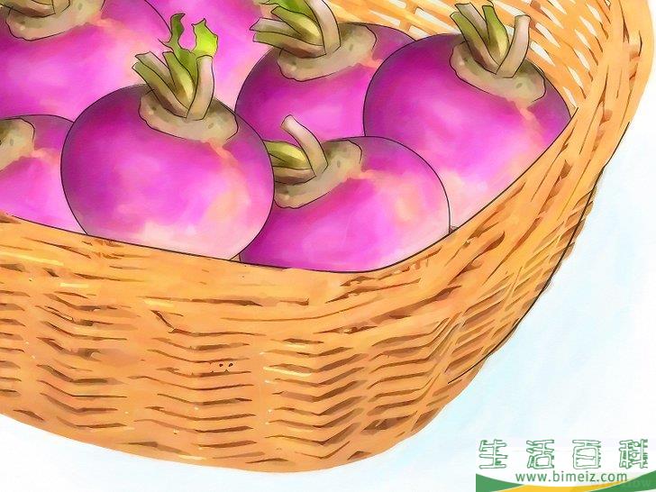 怎么种植萝卜