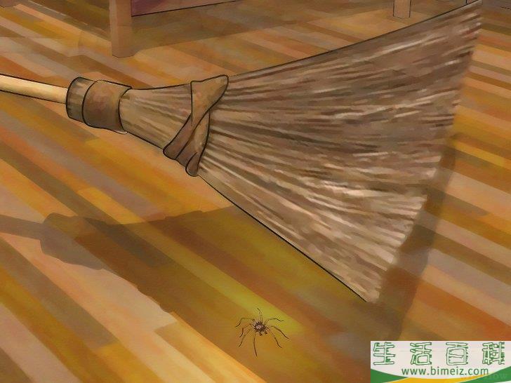 怎么去除狼蛛
