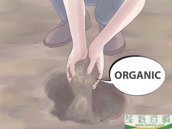 怎么栽种栀子花