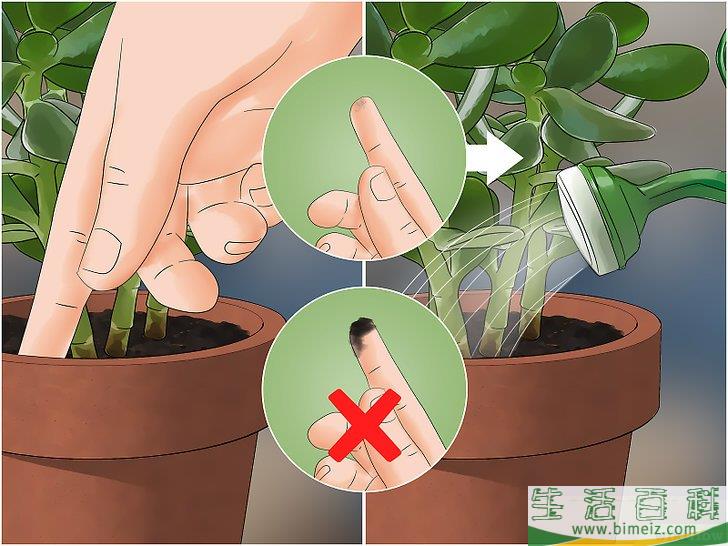 怎么消灭蠓虫