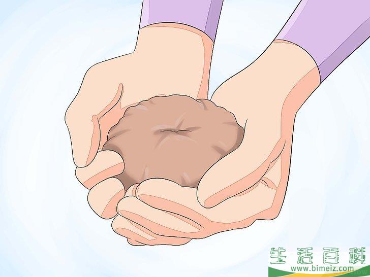 怎么种植苔藓
