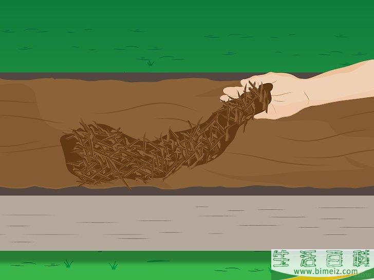 怎么种植菠菜