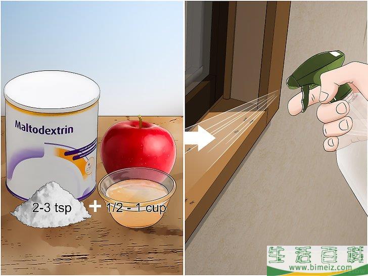 怎么去除蚁患
