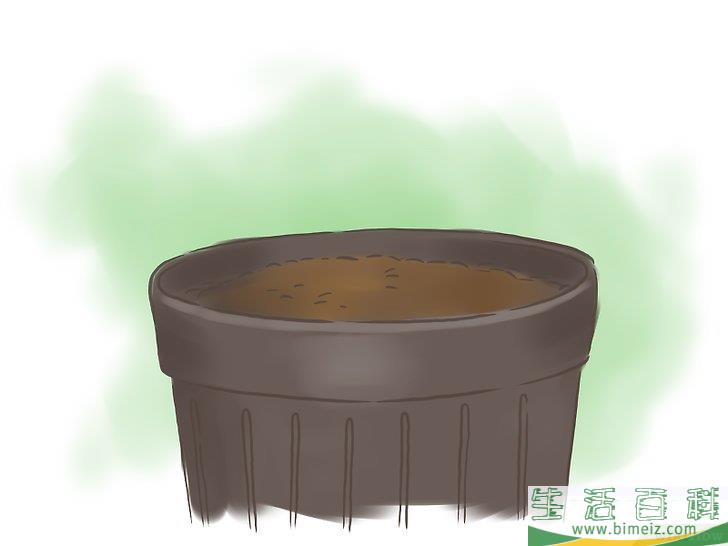 怎么种百香果