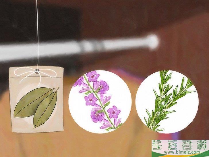 怎么清除蛾子