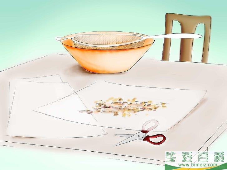 怎么用种子种植番茄