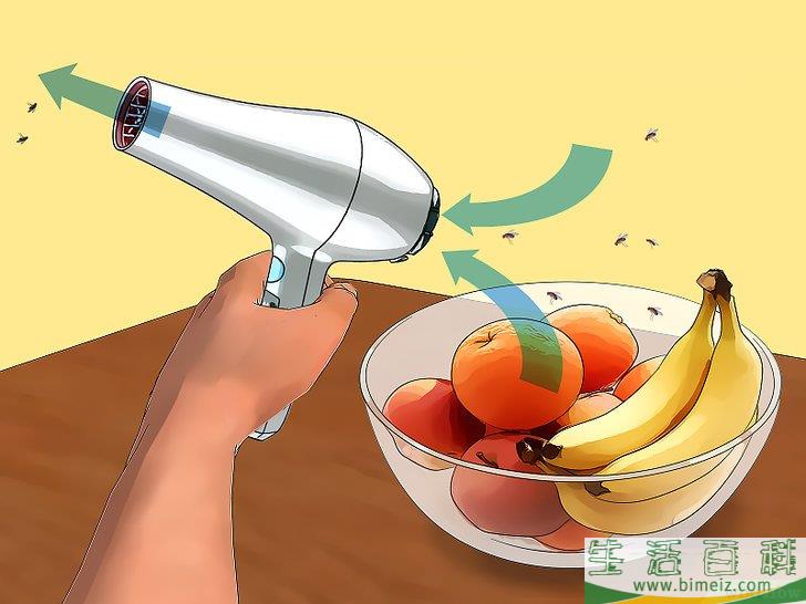 怎么消灭果蝇