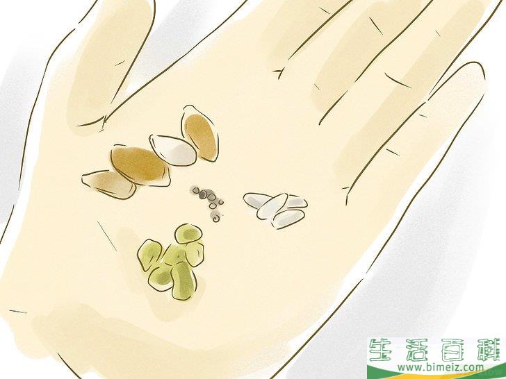 怎么用种子种植植物