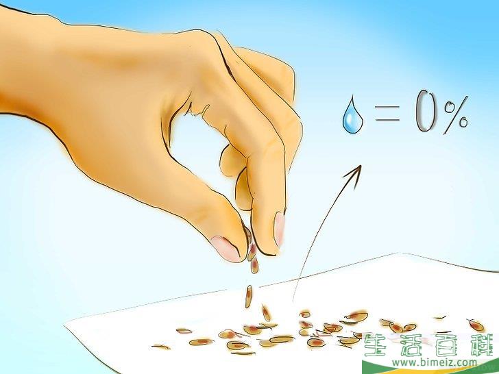 怎么用种子种植番茄