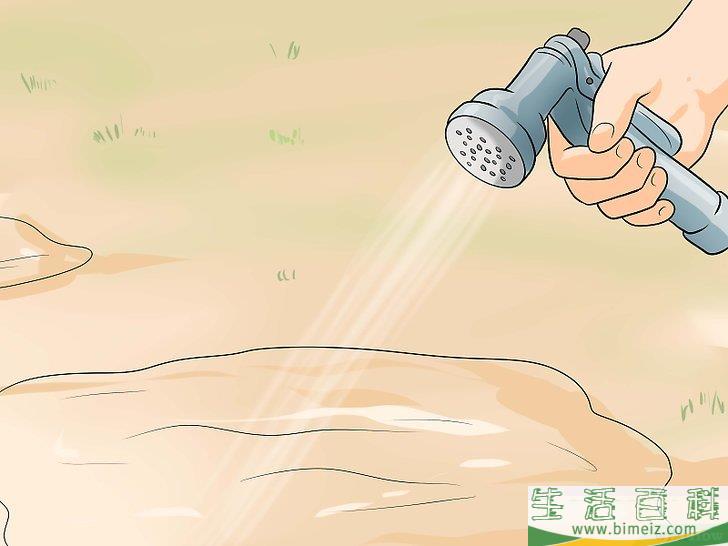 怎么种植合法的大麻
