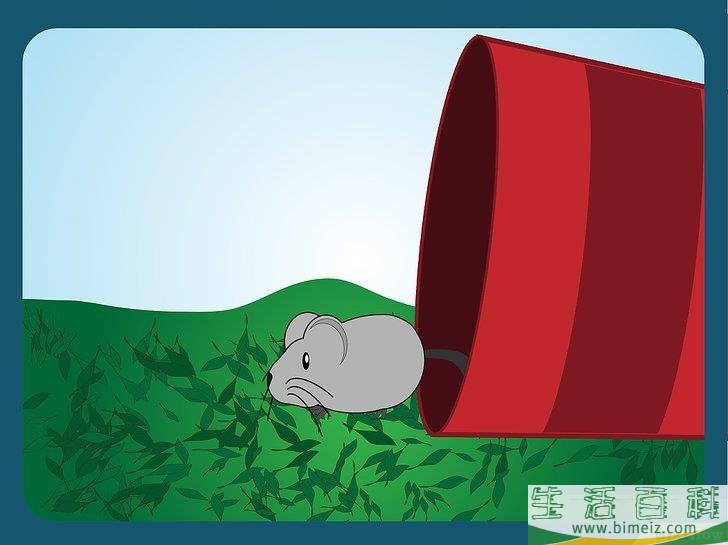 怎么捕鼠
