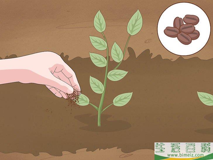 怎么使园林免受蜗牛侵害