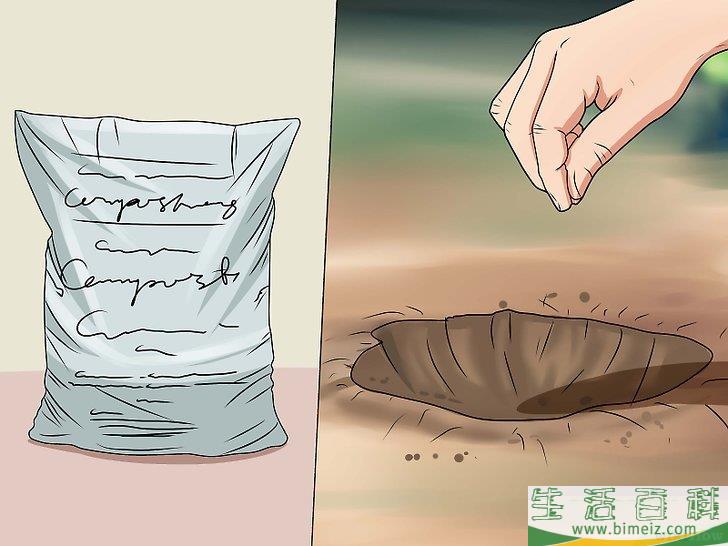 怎么种植合法的大麻