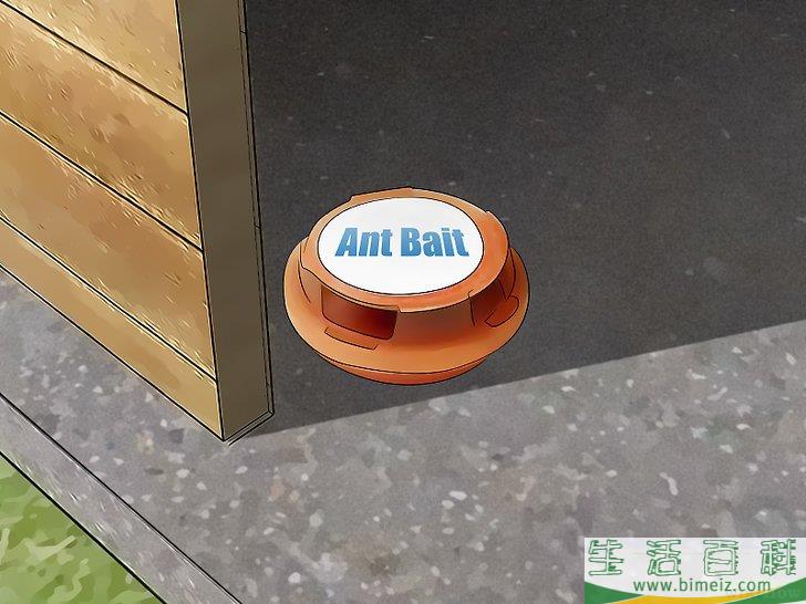 怎么消灭院子里的蚂蚁