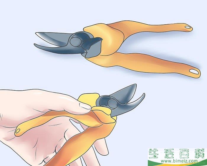 怎么修剪薰衣草