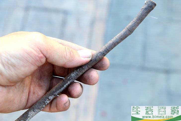 怎么在没有火柴或打火机的情况下生火