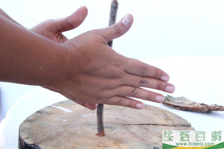 怎么在没有火柴或打火机的情况下生火
