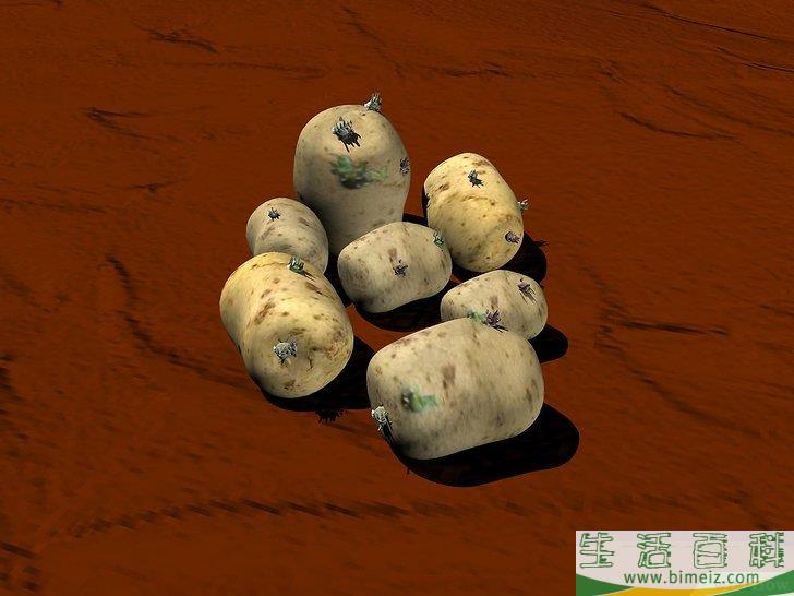 怎么种土豆