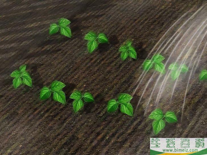 怎么建一个菜园