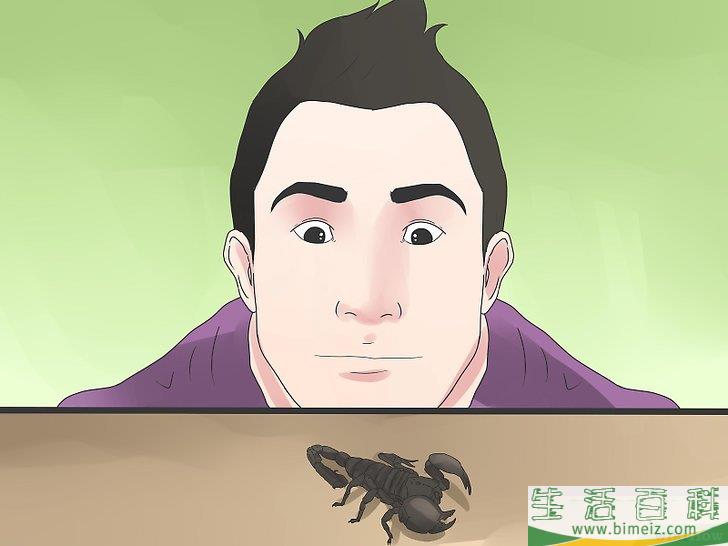 怎么清除蝎子