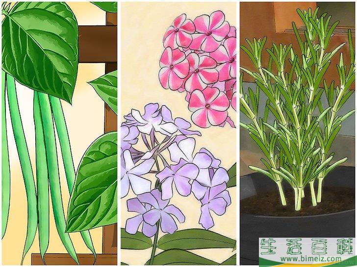 怎么建一个花园