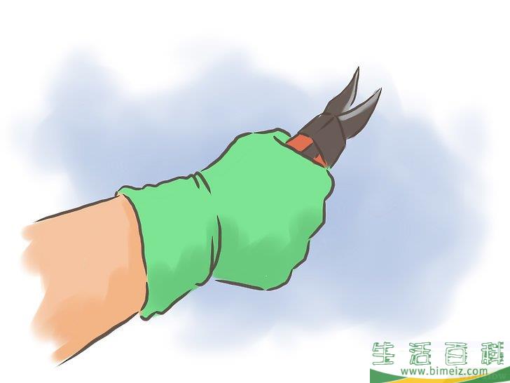 怎么种百香果