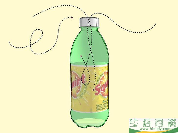怎么消灭果蝇
