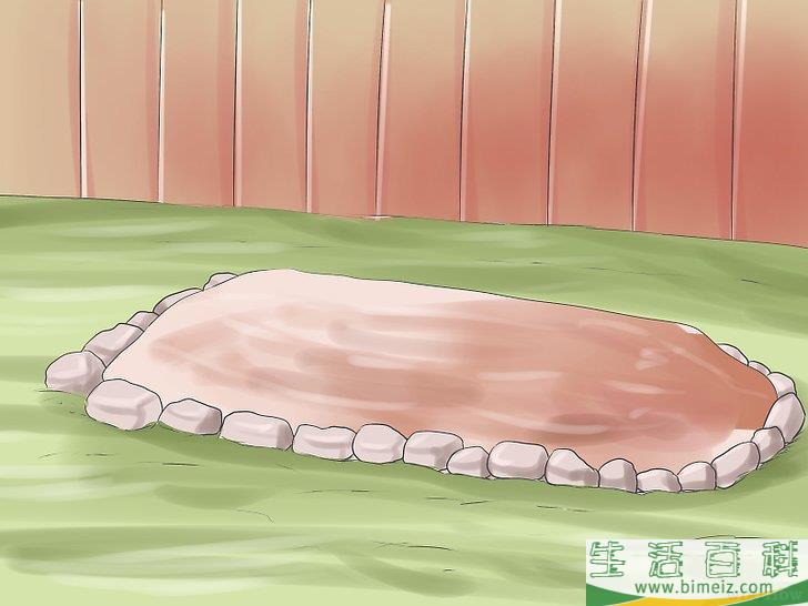 怎么种植合法的大麻