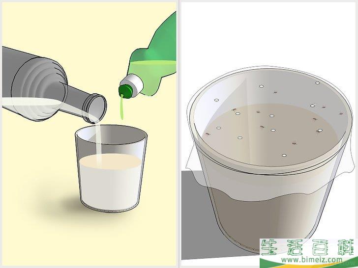 怎么消灭果蝇