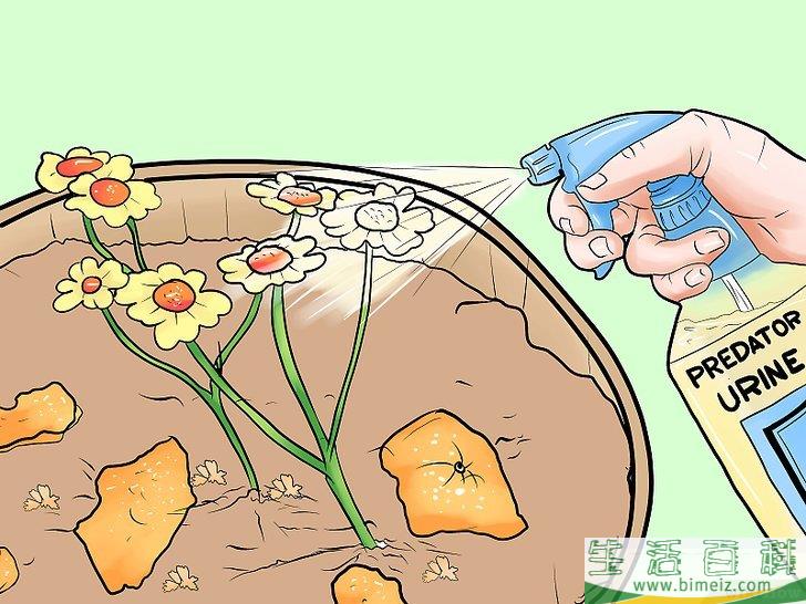 怎么防止猫进入你的花园