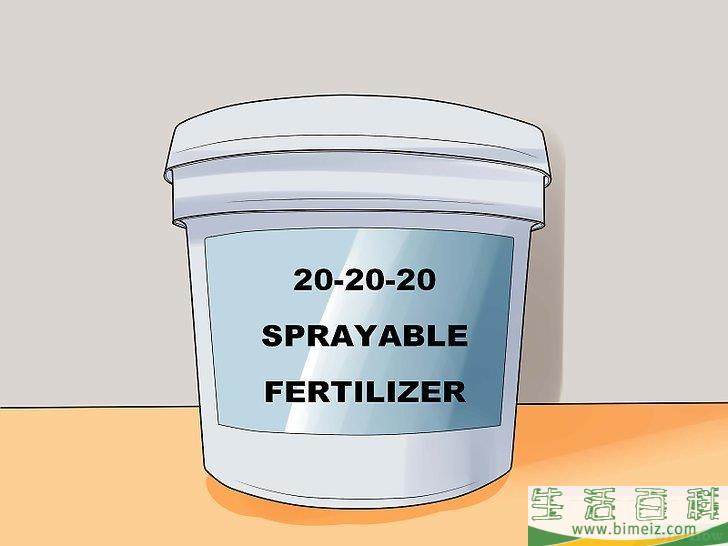 怎么照料虎皮兰