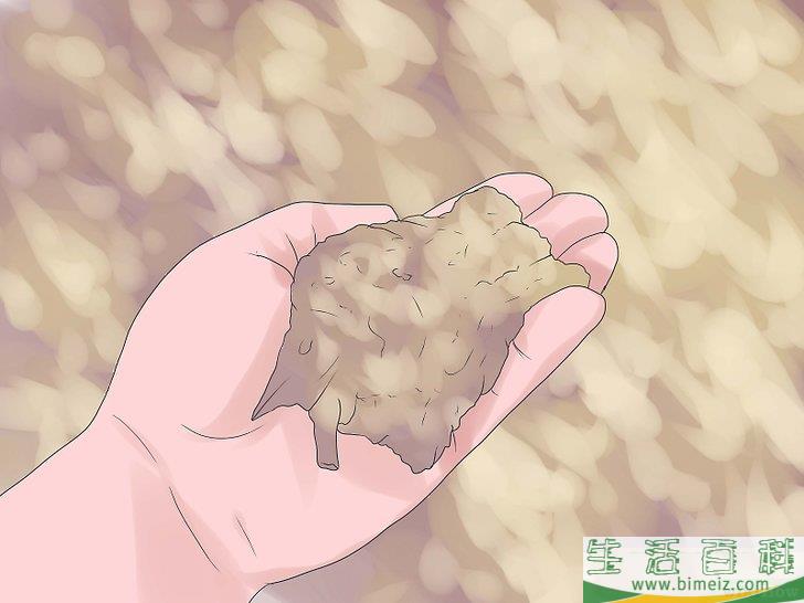 怎么种竹子