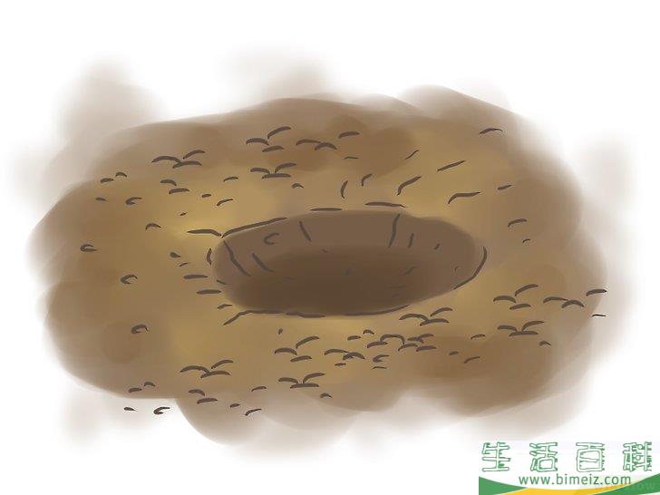 怎么种百香果